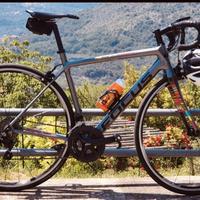 Focus izalco race