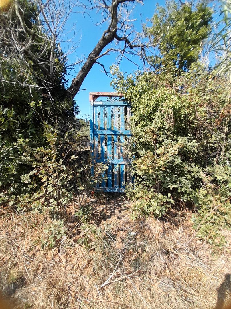 Terreno a vada - Vista 6