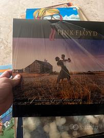 Dischi 33 giri vinili pink floyd e altro