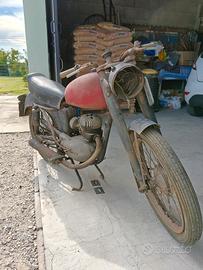 Mival 125 anni 50