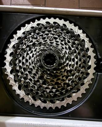 Cassetta Sram Xd 1295 10-50