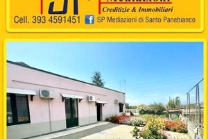 Singola Arredata com Giardino