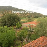 Terreno 2 ettari con casa