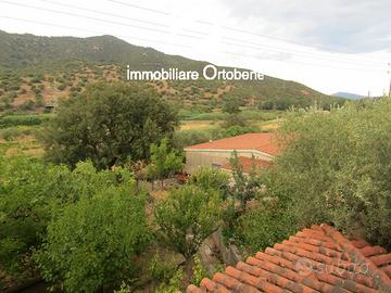 Terreno 2 ettari con casa