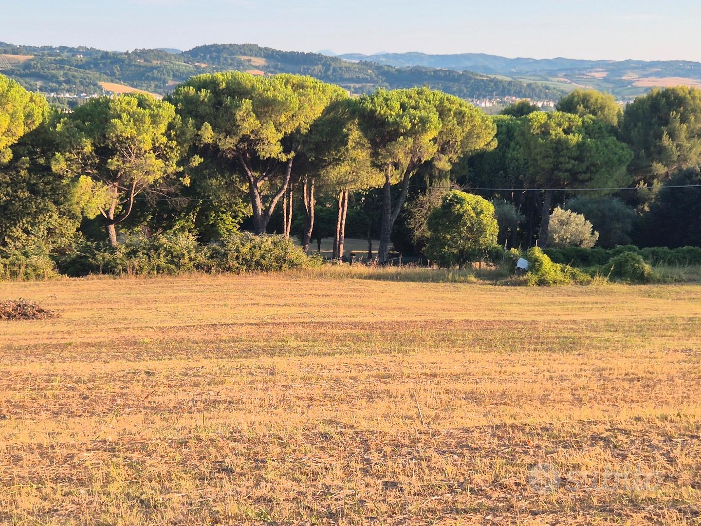 Terreno Agricolo San Bartolo- vista città e mare - Altro