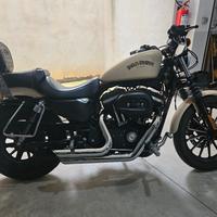 Harley Davidson 883 Iron