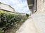 Immagine 19