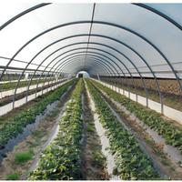 serra 2 pollici larg 6 metri 