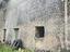 Immagine 26