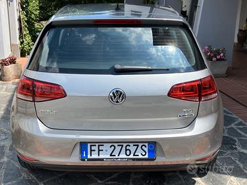 golf TGI