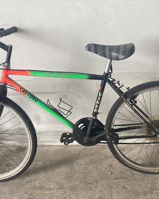 Bici a marce castoro