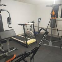 Palestra