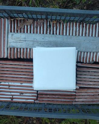 piastrelle 13x13 bianche