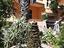 Immagine 4