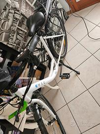 Bicicletta elettrica