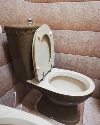wc champagne e piastrelle