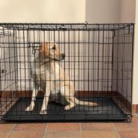 Kennel per cani medio/grandi