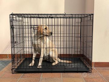 Kennel per cani medio/grandi