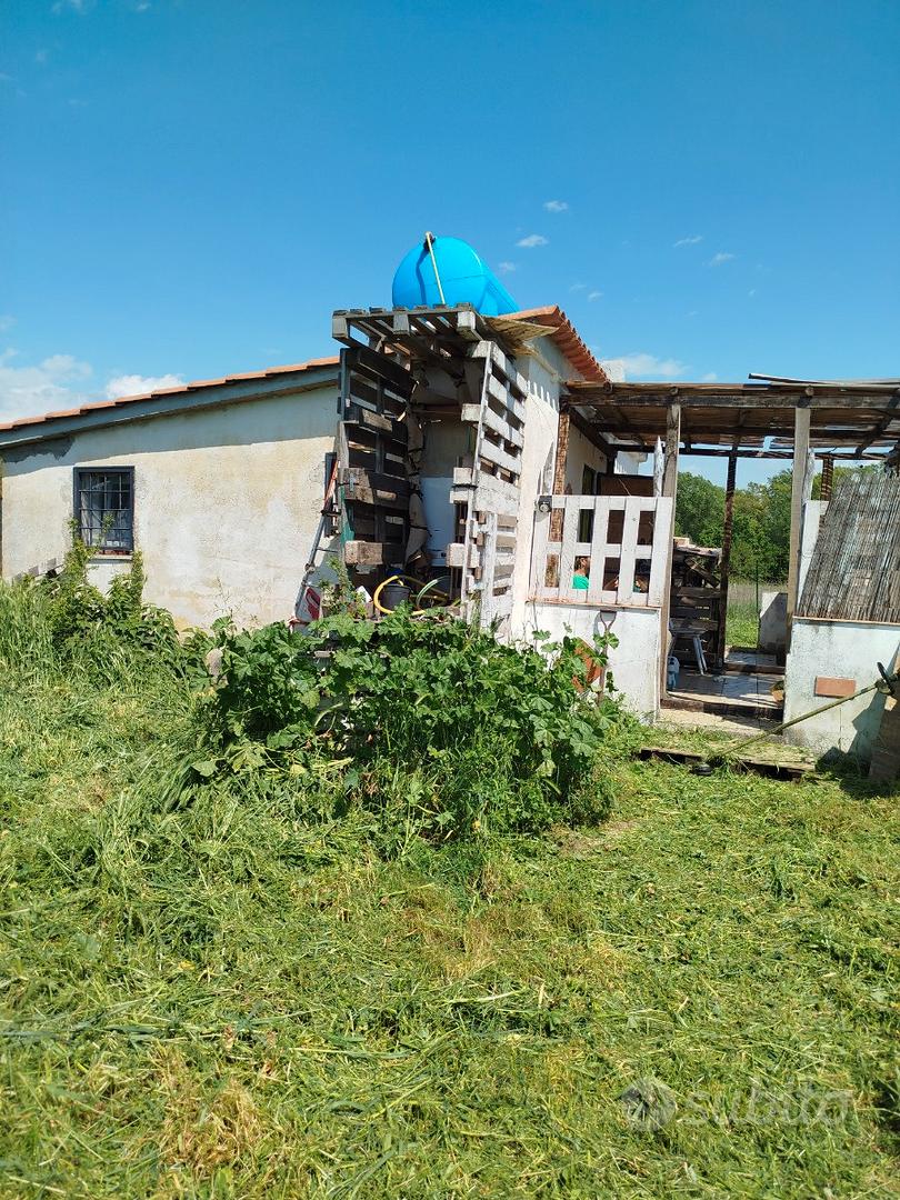Terreno con magazzini a Nepi - Vista 3