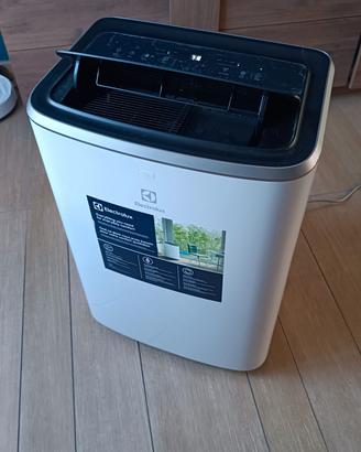 Climatizzatore Electrolux Chilled Pro COME NUOVO 