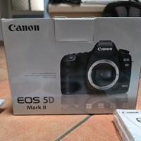 Canon eos 5D Mark II (38 mila scatti)