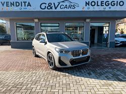 BMW X1 20d X-Drive M-Sport Pro 163cv