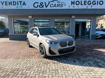 BMW X1 20d X-Drive M-Sport Pro 163cv