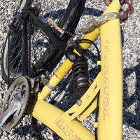 Bicicletta 🚲 Bandiziol. 