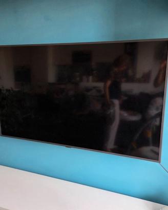 Mobile tv ikea +tv 55"