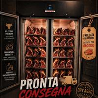 Armadio Frollatura Carne ZERNIKE KLIMA MEAT EASY 1