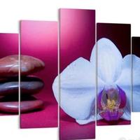 quadro tela 5 pezzi orchidea spa