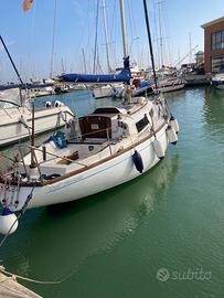 Barca a vela Barberis 31
