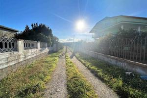 Rif.RI90| terreno agricolo borgia