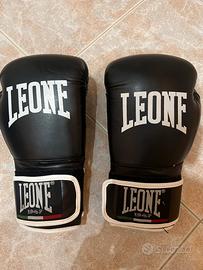 guantoni da boxe + paratibia