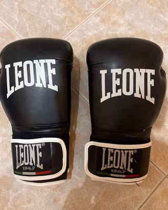 guantoni da boxe + paratibia