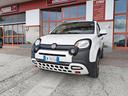 fiat-panda-cross-1-0-firefly-s-s-hybrid-anno-2023