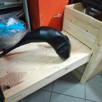 espansione giannelli