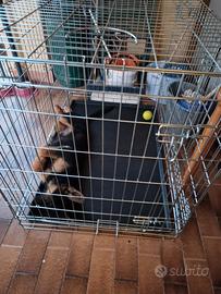 kendel portatile per cane taglia l