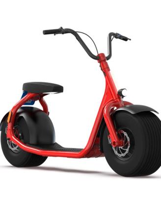 BICICLETTA ELETTRICA KASPEED
