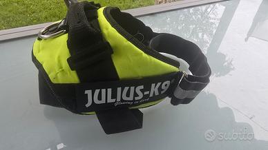Pettorina Julius K9 XL