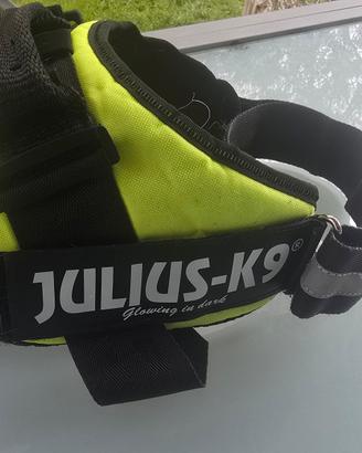 Pettorina Julius K9 XL