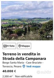 Terreno con ulivi, ampio panorama, Pesaro