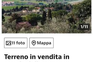 Terreno con ulivi, ampio panorama, Pesaro