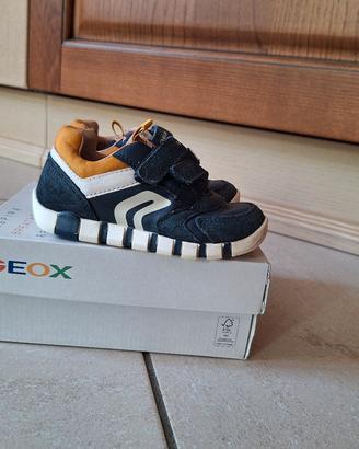 Scarpa Geox n.25