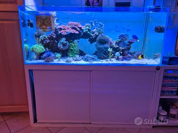 acquario marino completo