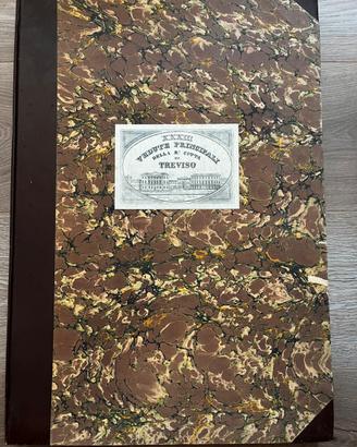 Anastatiche Vedute di Treviso, Nani