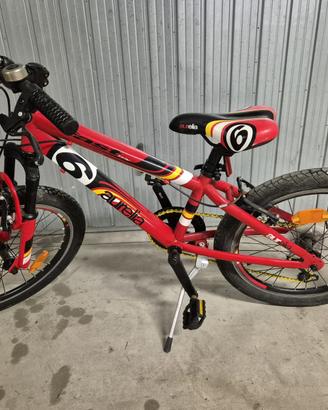 Bici 20 pollici 6 marce e ammortizzatori