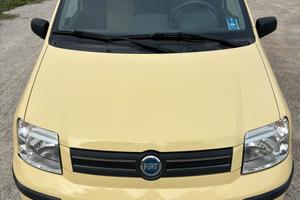 Fiat Panda dynamic