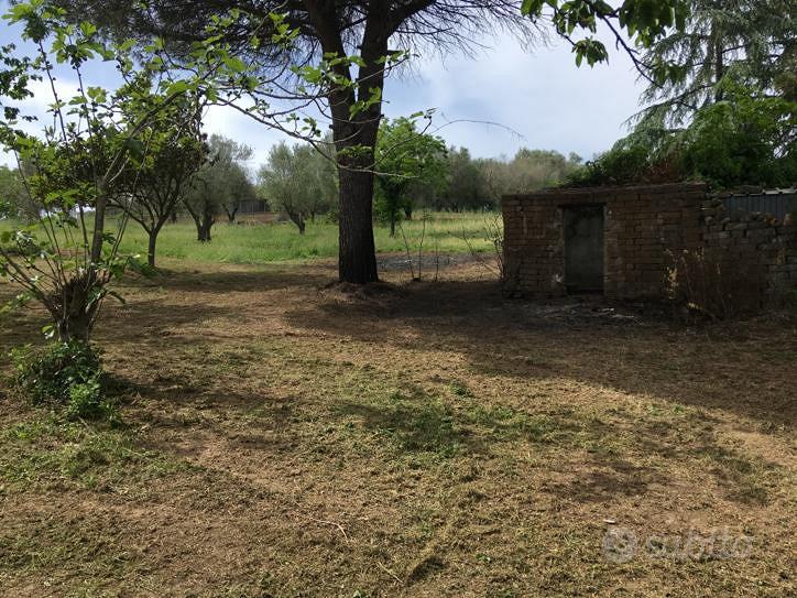 Terreno edificabile 3 ettari - Vista 3