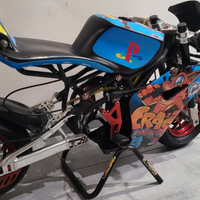 Minimoto DM 2024